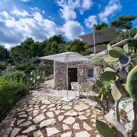 Guest house La Casa Del Fico