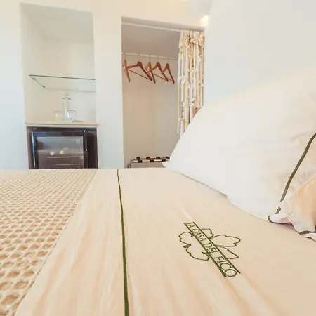 La Casa Del Fico Guest house Santa Maria di Leuca
